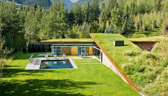 contemporary-house-with-green-roof-o