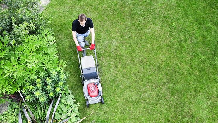 lawn-mowing.jpg